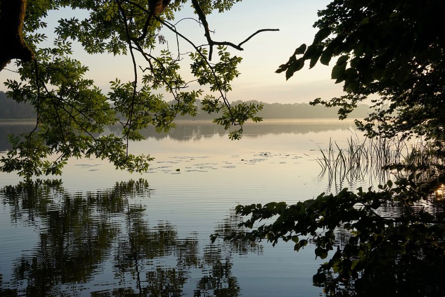 Mecklenburgische Seenplatte 2023 5