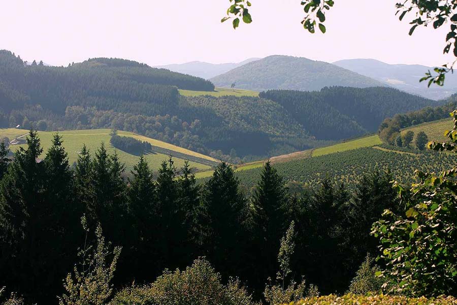 Berghotel_hoher-knochen-Angebot-Wanderfreuden