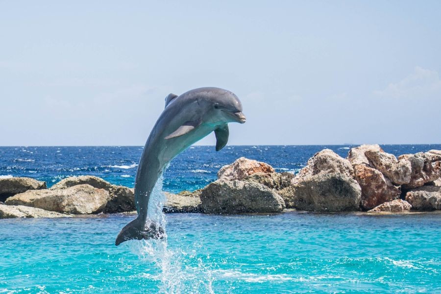 Kroatien 7