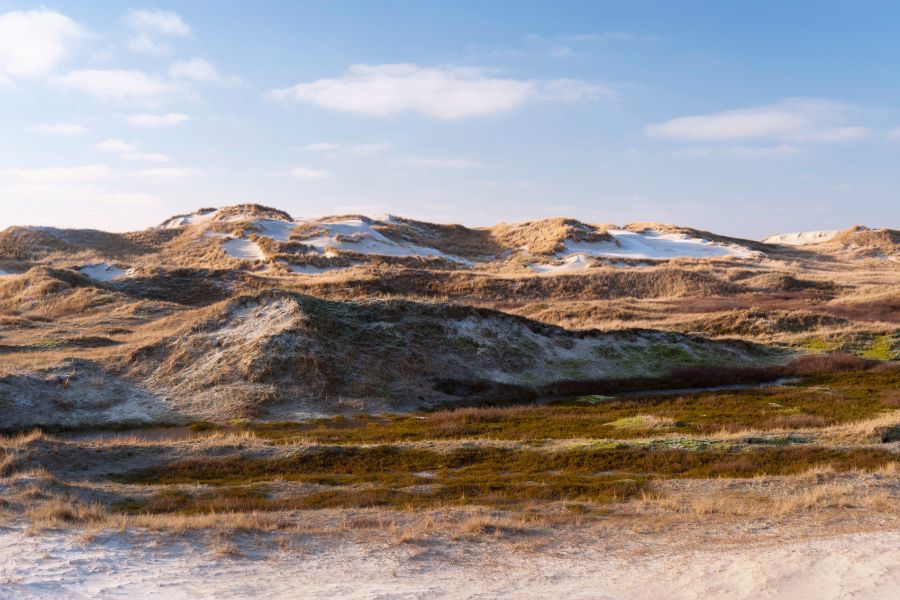 Amrum Dünen