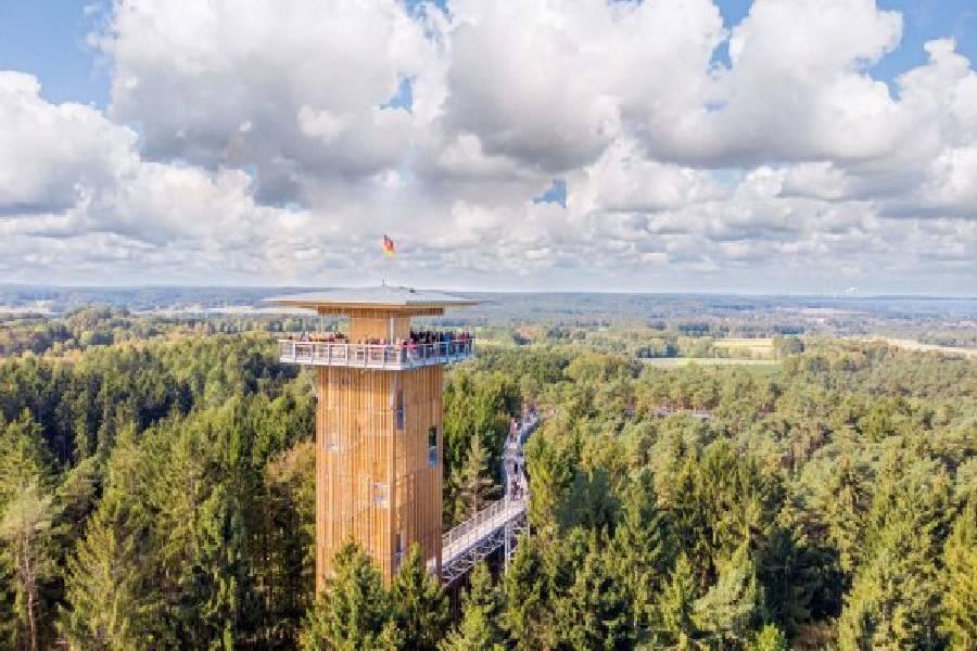 Baumwipfeldpfad900x600