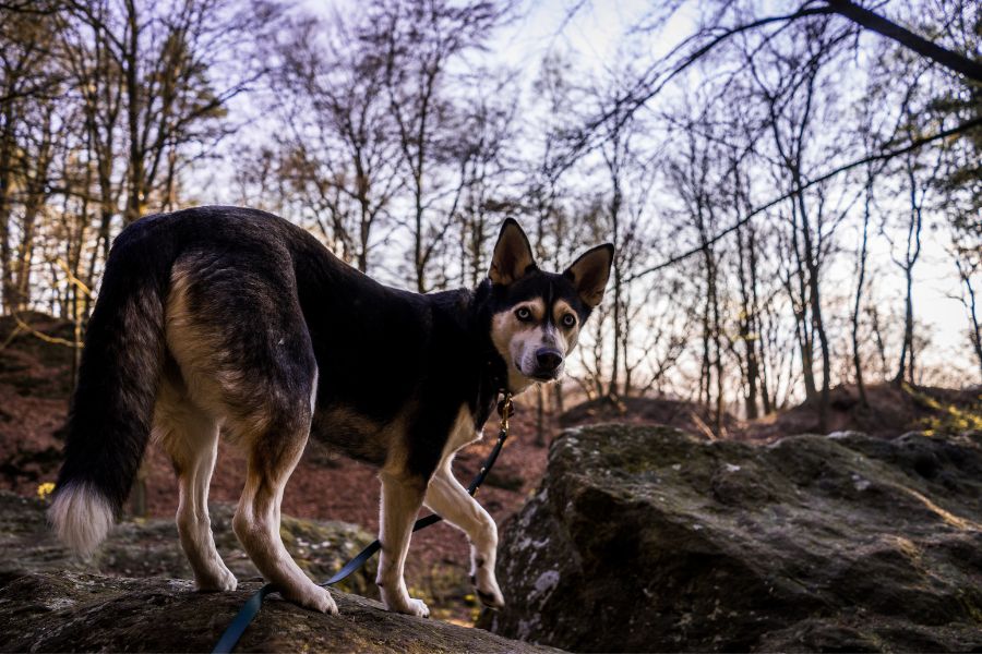 Bielefeld Teutoburger Wald 1