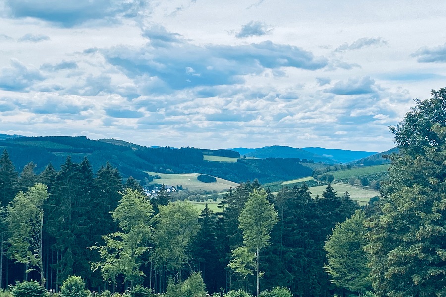 Sauerland Hoher Knochen3