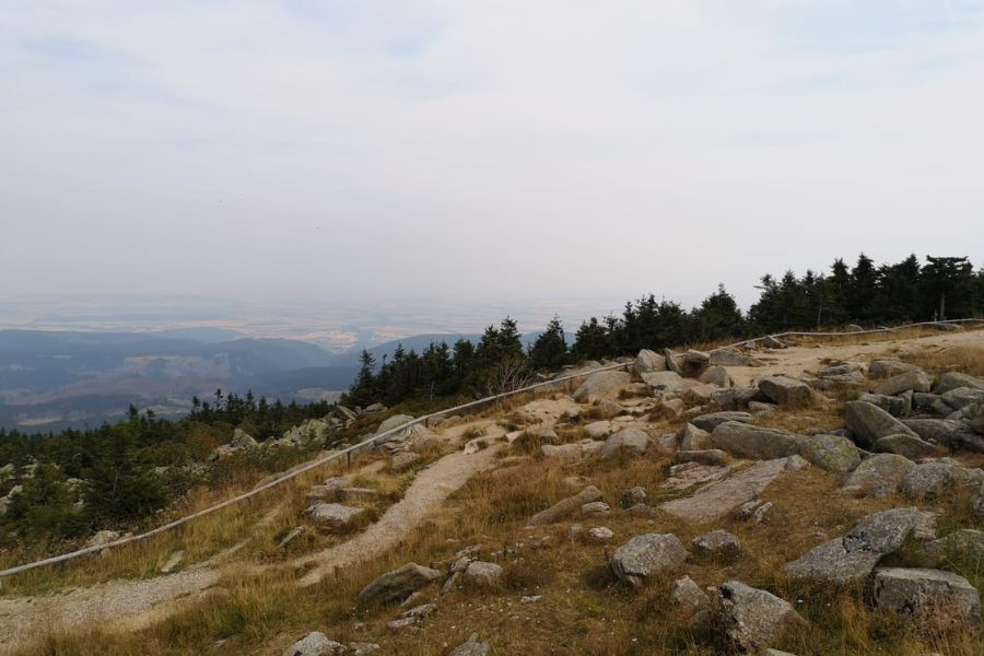 Schwarz Gold Elegant Dunkel Wasserfarbe Glitzer Danke Instagram Post (900 × 600 px)-10