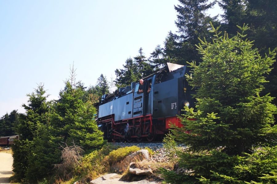 Schwarz Gold Elegant Dunkel Wasserfarbe Glitzer Da