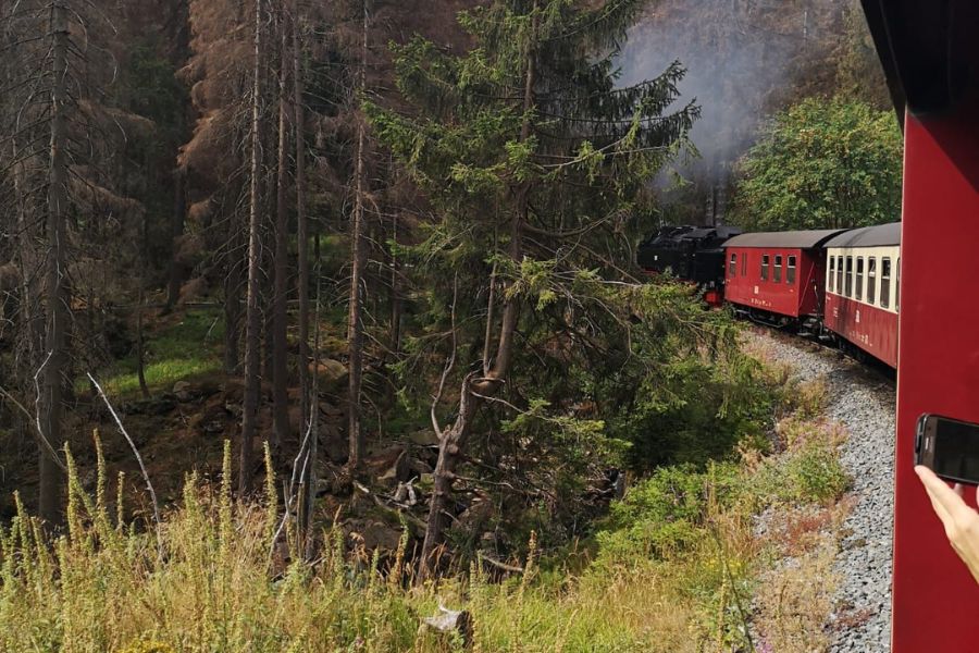 Schwarz Gold Elegant Dunkel Wasserfarbe Glitzer Danke Instagram Post (900 × 600 px)-5