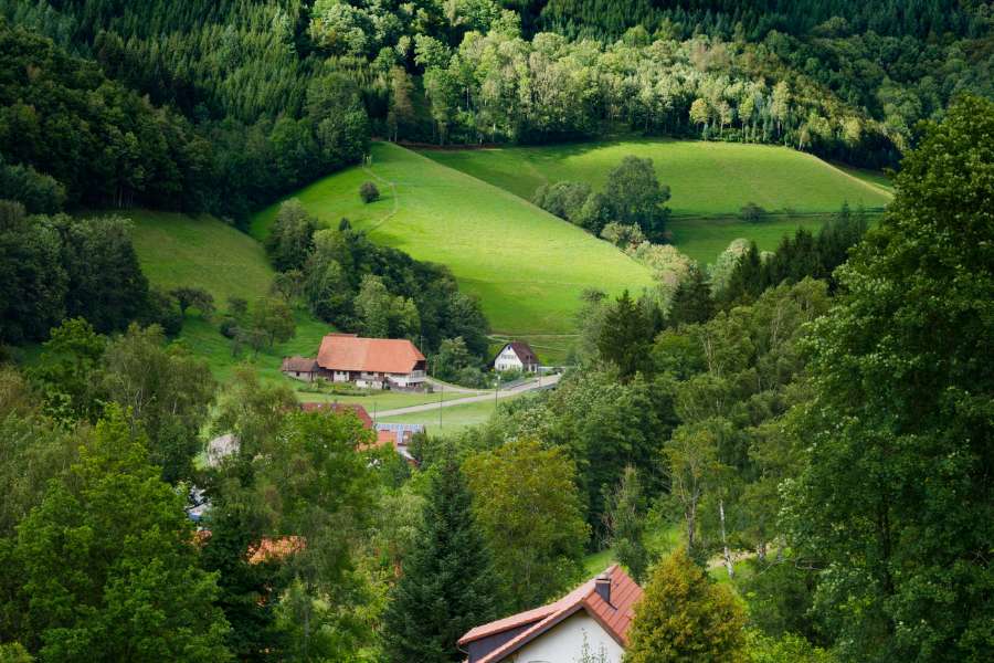 schwarzwald