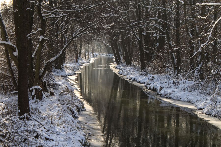 Spreewald winter