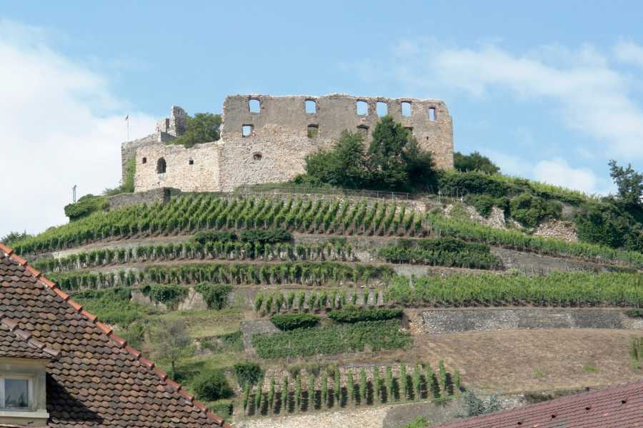 StaufenRuine
