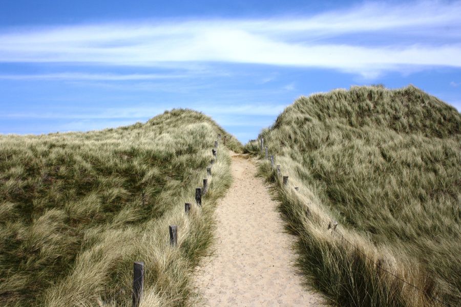 Sylt1